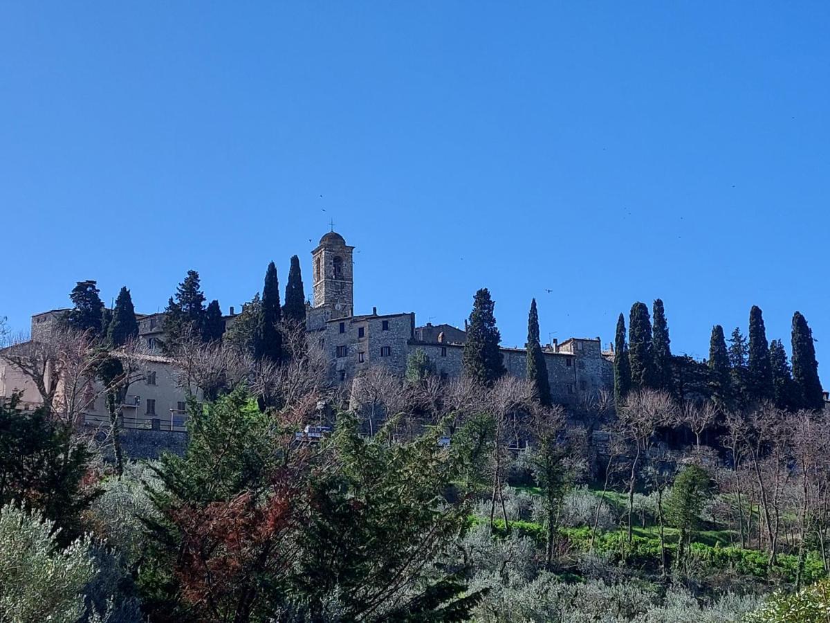 La Selvarella Montecchio  Exterior photo